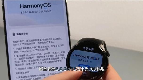 华为手表5内存