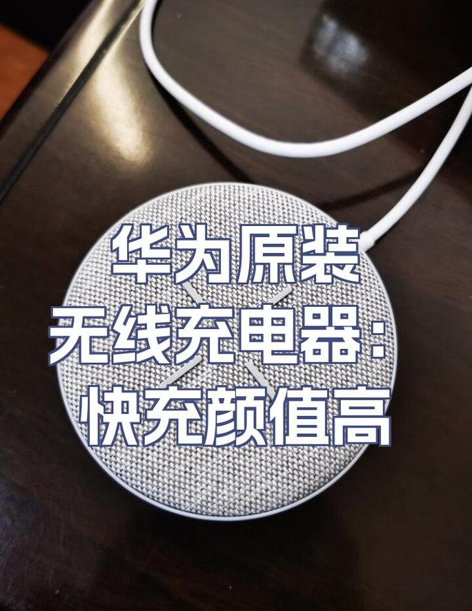 华为蓝牙耳机充不进去电