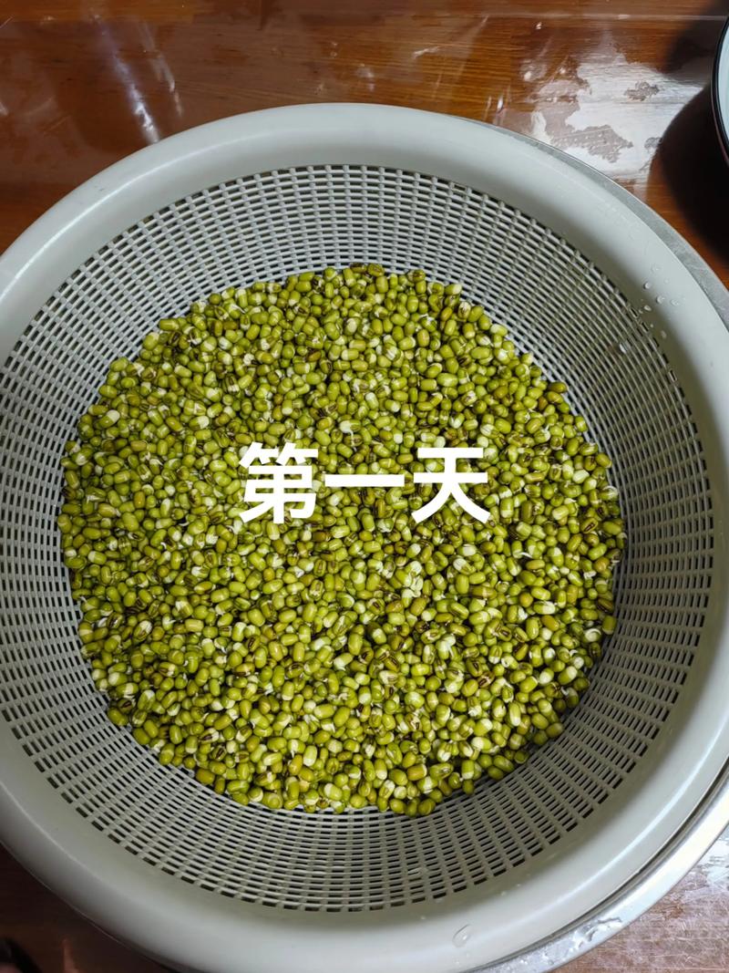 豆芽转1月3号上架截图1