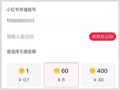 小红书充值的推广费怎么退