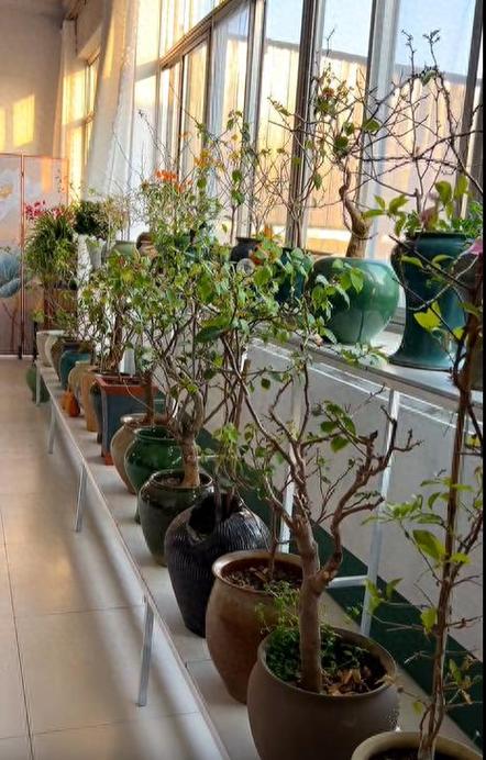 零零花app下载