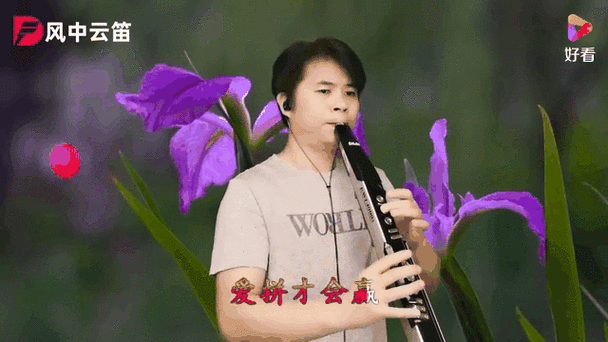 电吹管十大公认神曲