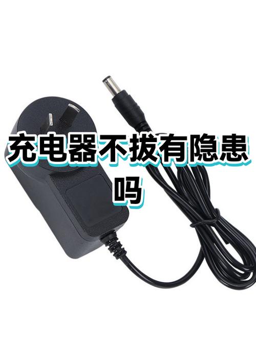 充电器两天不拔可以吗
