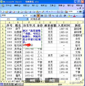 word如何冻结首行首列