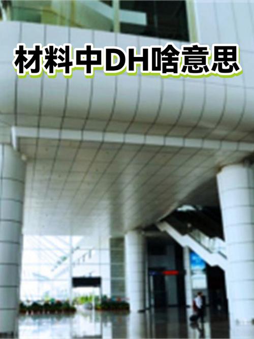DH代表啥意思