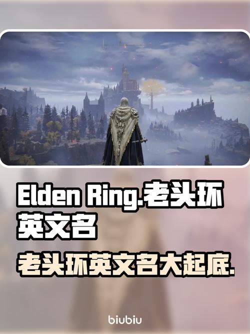 老头环开发商的中文名