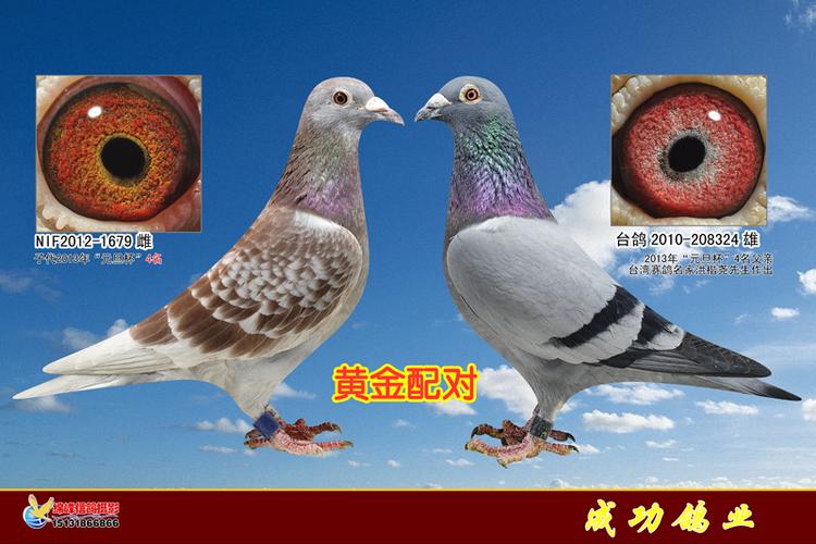 配对成功