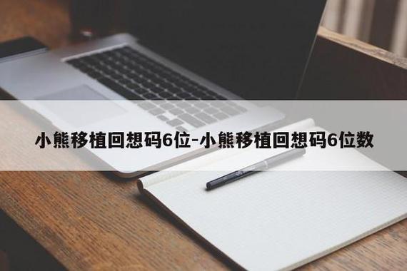 小熊移植的回想码6位数
