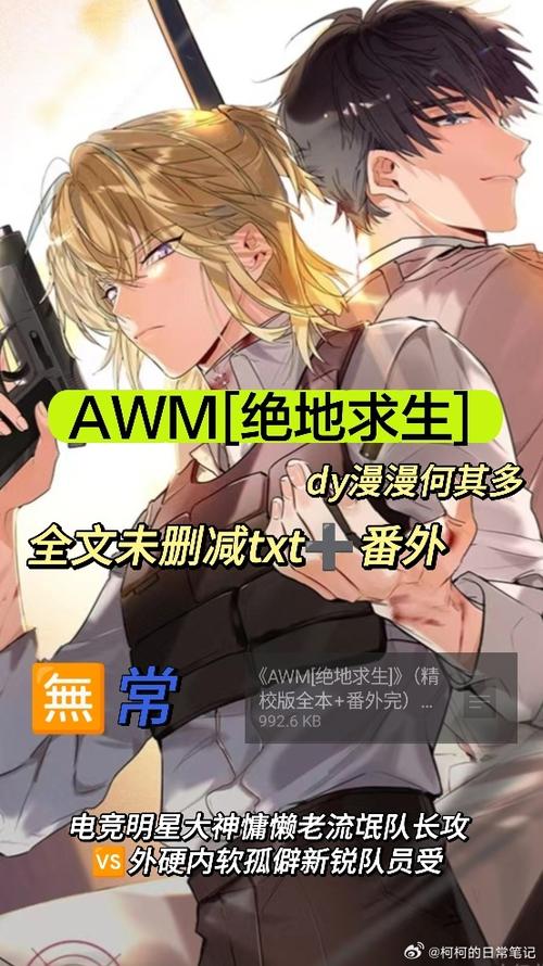 AWM绝地求生TXT免费下载全本