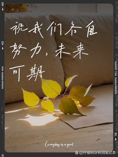 未来可期和前程似锦的意思 未来可期和前程似锦的意思