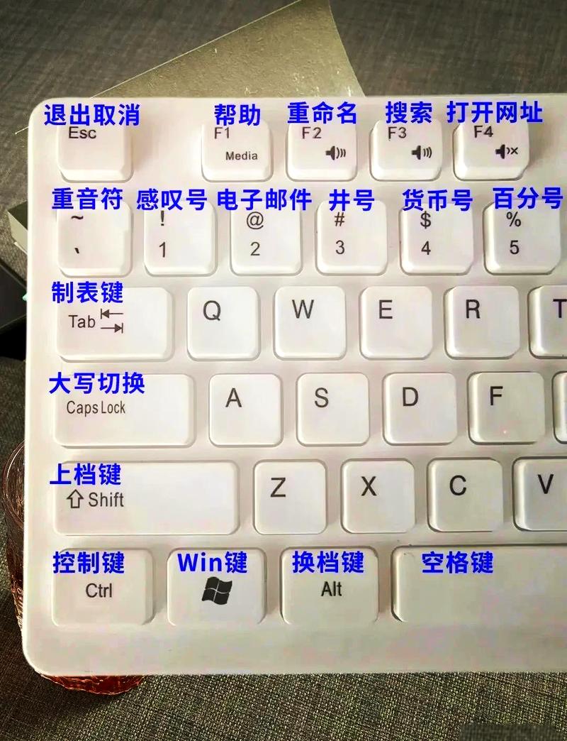 键盘的数字键按不出来什么原因