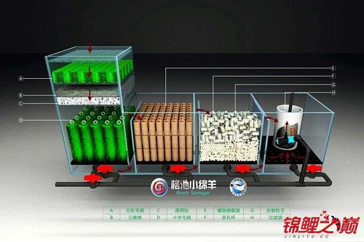 底过滤鱼缸滤材摆放图 教程