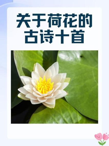 关于丁香花的五言绝句 关于丁香花的五言绝句