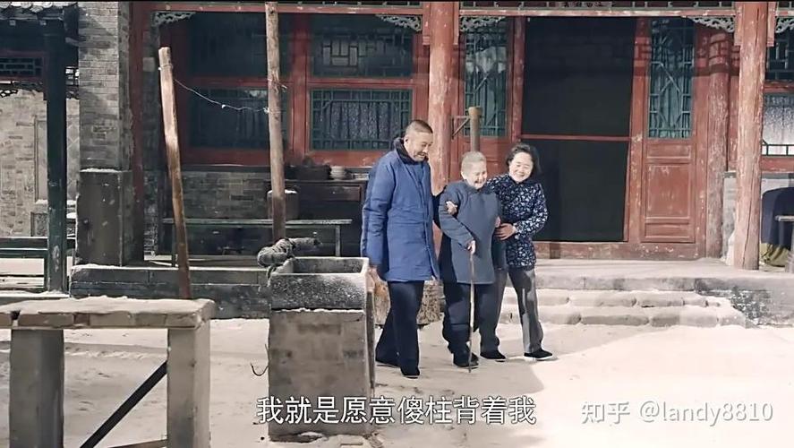 电视剧情满四合院