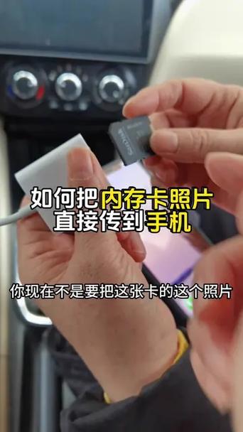手机存储卡里的照片在哪里找