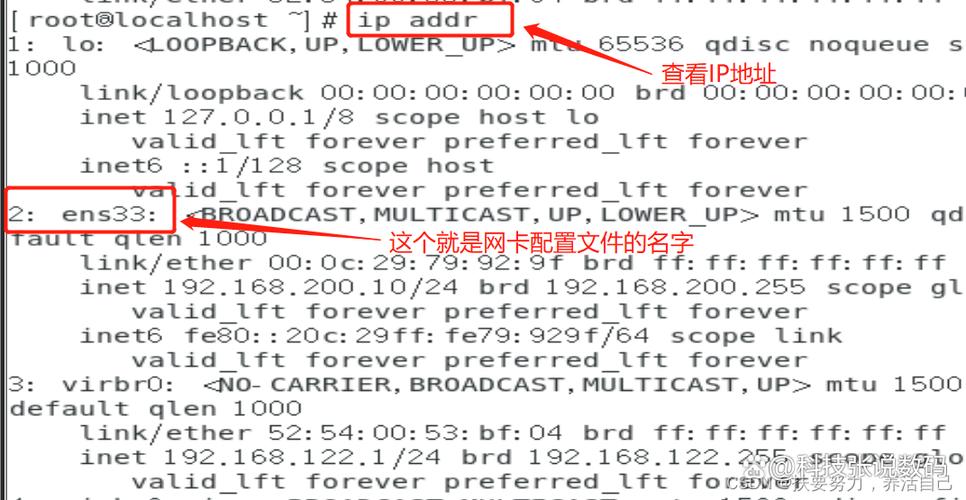 泰拉瑞亚ip地址查看及设置教程