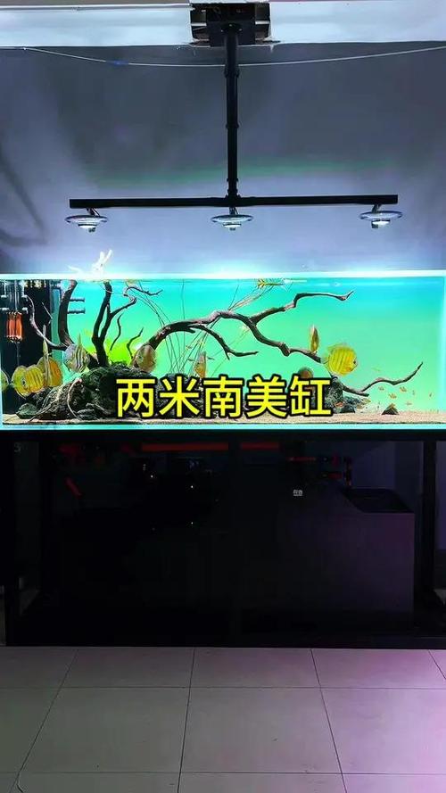 七彩神仙鱼缸