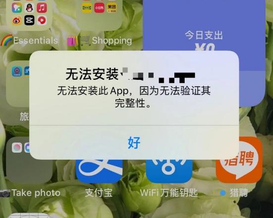 苹果手机软件安装不了怎么回事截图2