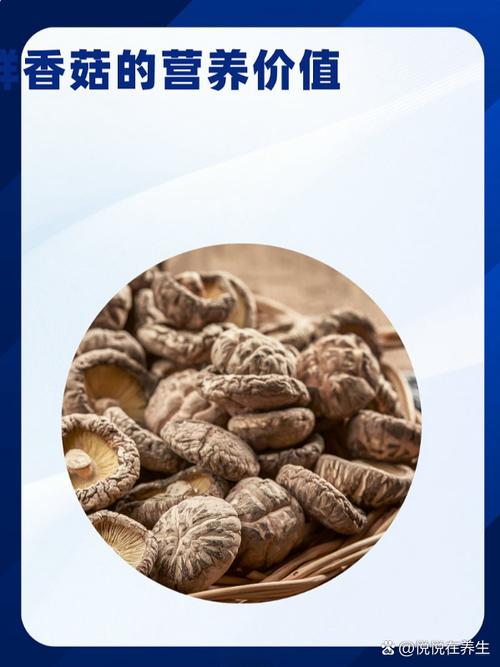 干香菇好还是新鲜香菇好
