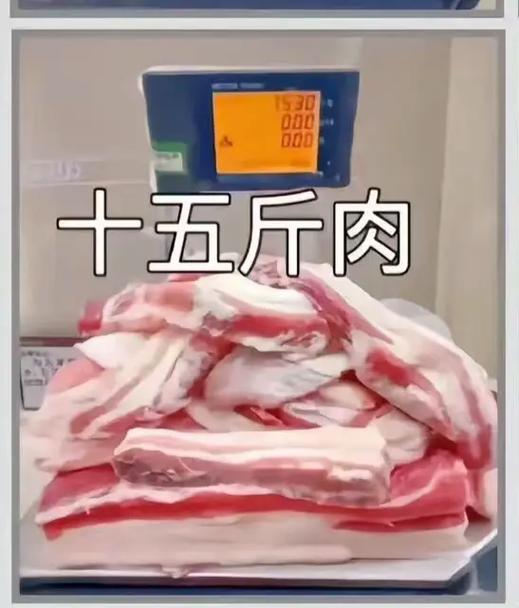 15是多少斤 15是多少斤