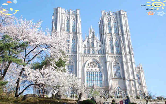 韩国三所顶尖大学