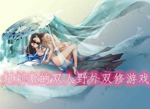 好玩的双人游戏