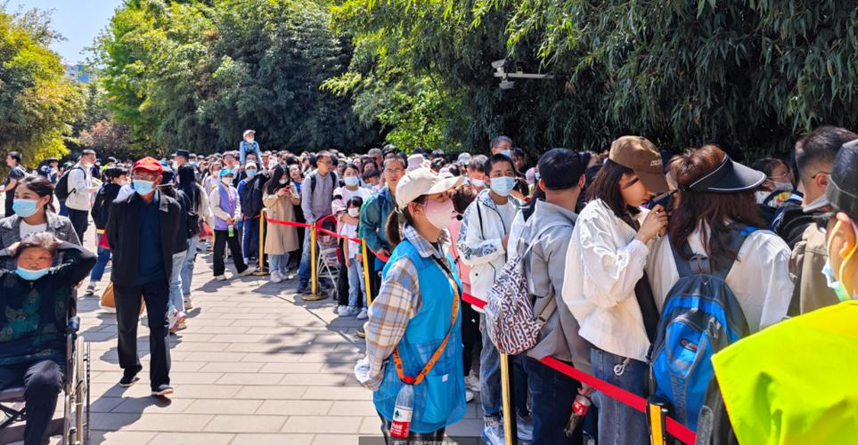 5个人排队有几种排队截图2