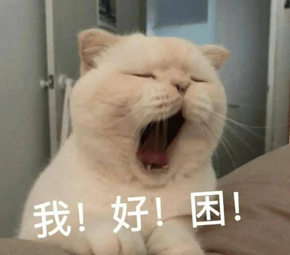 形容很困的表情包