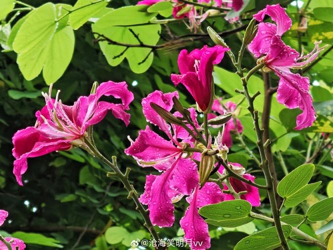 零零花靠谱吗