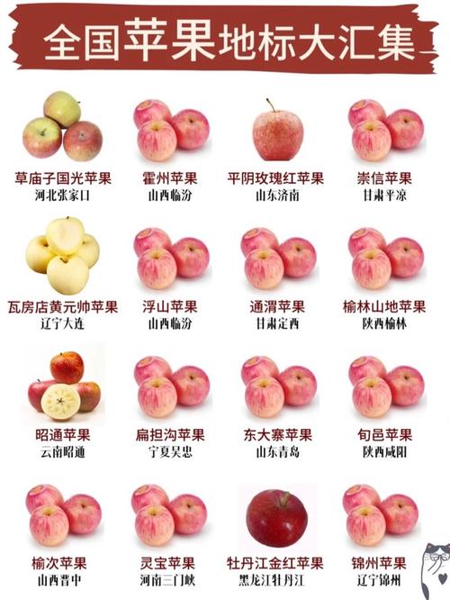 苹果官方售后换屏是原装的吗