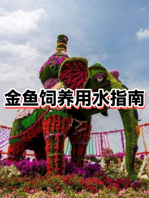 金鱼换水可以用自来水吗