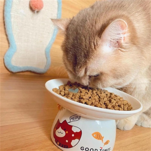 贪吃的猫粮 贪吃的猫粮