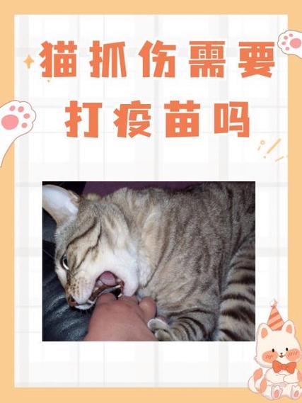 小孩被猫挠了用打狂犬疫苗吗截图3