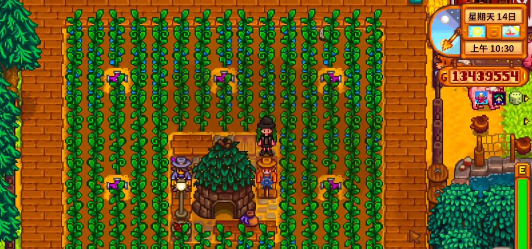 星露谷解锁祝尼魔小屋