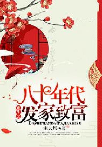 80年代发家致富小说