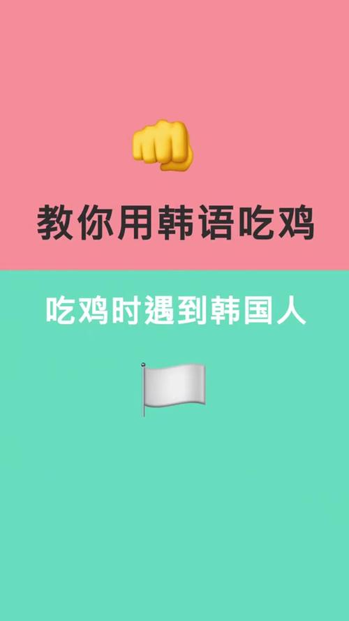 韩国人玩吃鸡吗韩国叫什么