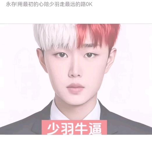 少羽头像真人