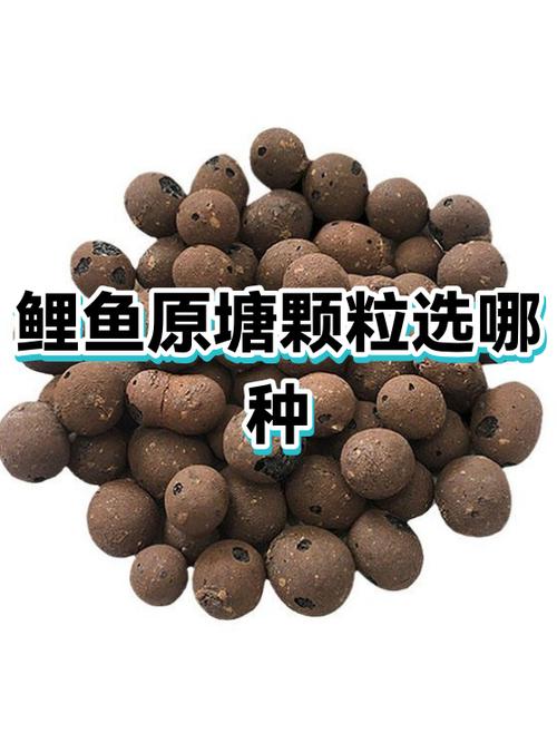鲤鱼为啥有的有籽有的没籽
