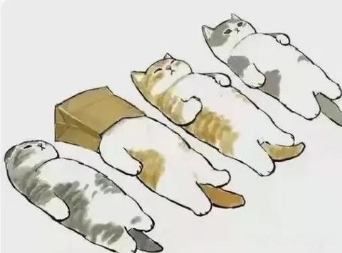 悠哉悠哉后半句是什么
