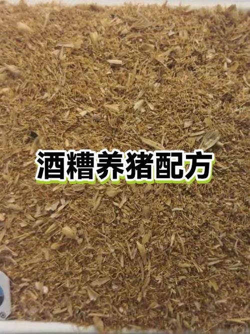 养猪的方法和技巧