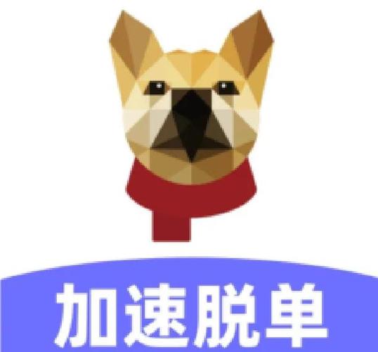 二狗加速官方入口登录