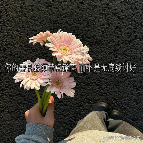 2026朋友圈最火文案怎么写