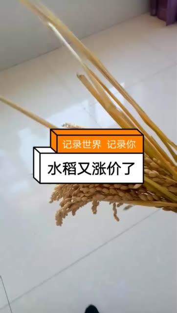 快手晚发立赔怎么赔偿