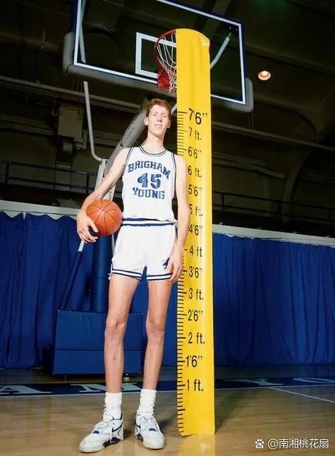 NBA巨星从白鹿开始的小说