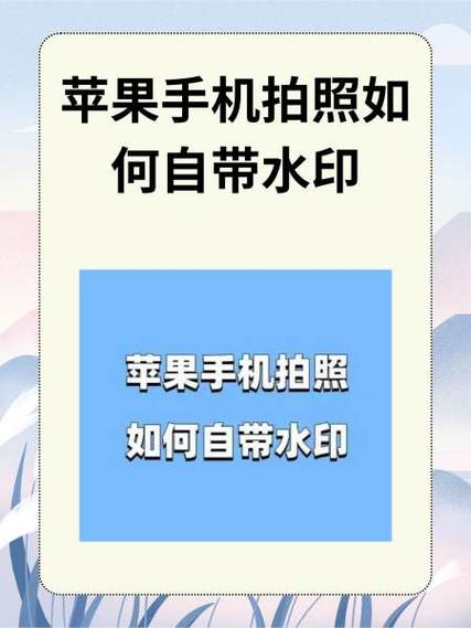 苹果手机拍照怎么那么暗暗的