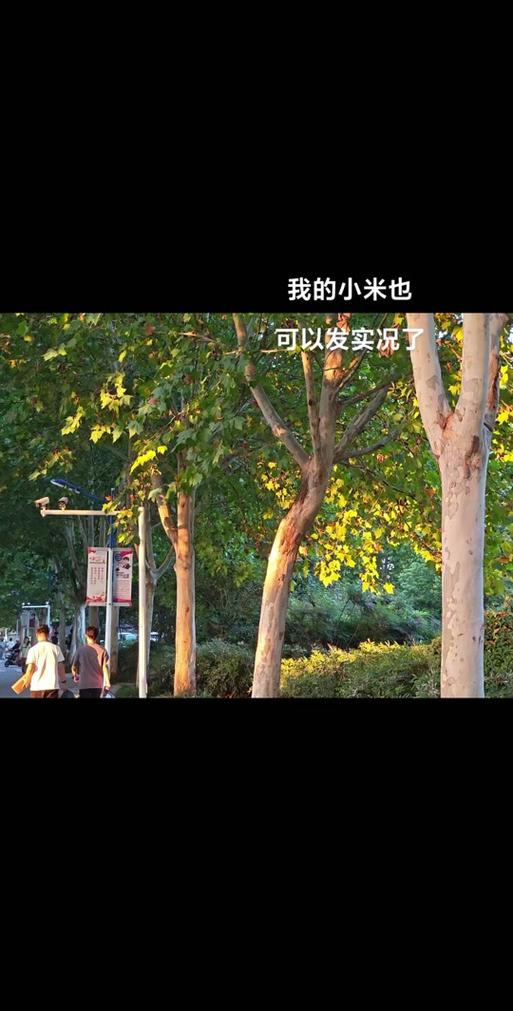 小米手机朋友圈发原图照片和视频的注意事项