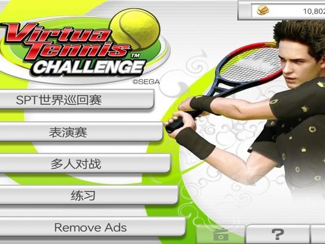 vr网球挑战赛安卓汉化版