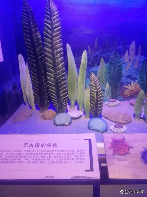 人在元古宙能活吗