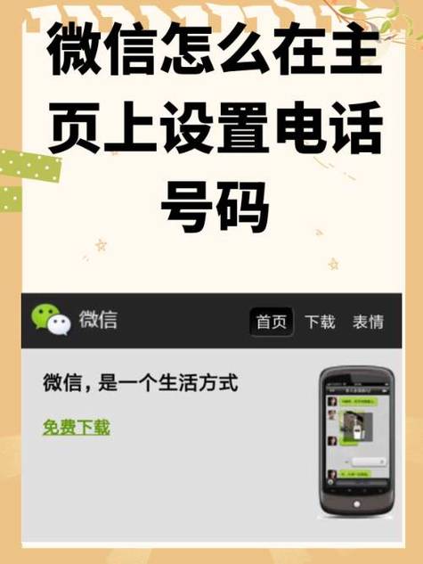 微信怎么添加手机号在主页
