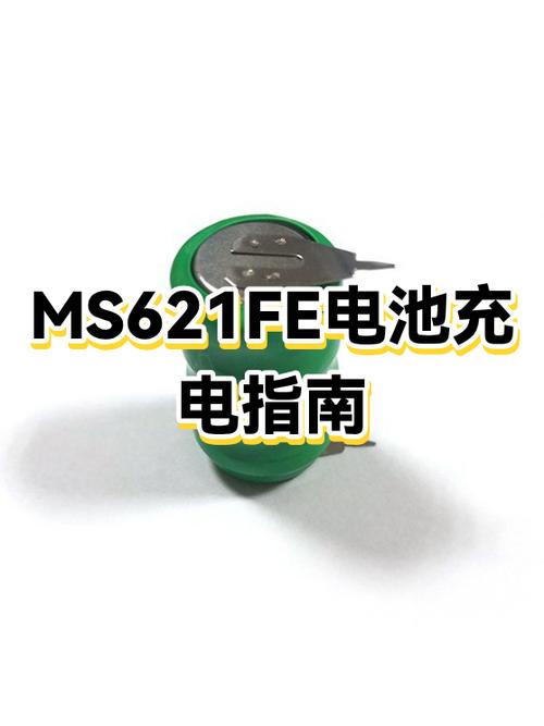 48v45安电瓶用多大的充电器